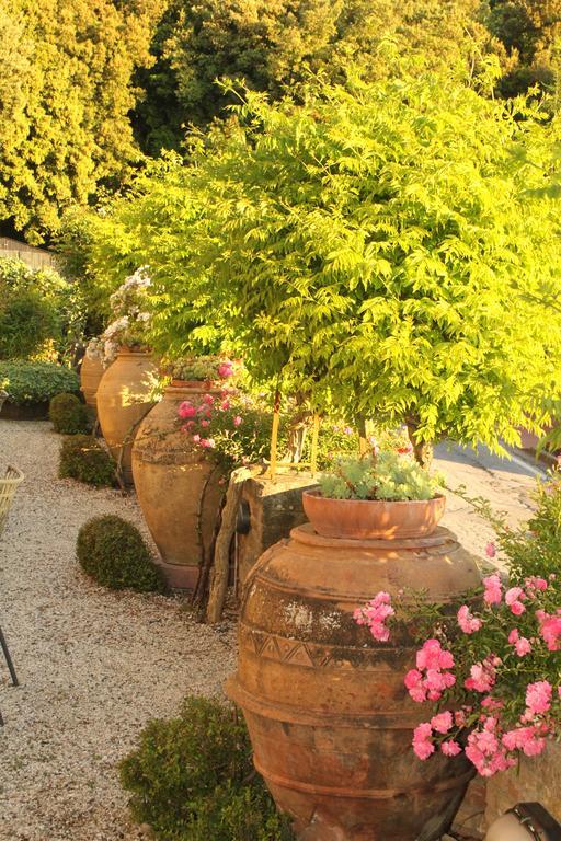 파치아노 Relais Mastro Cinghiale B&B 외부 사진