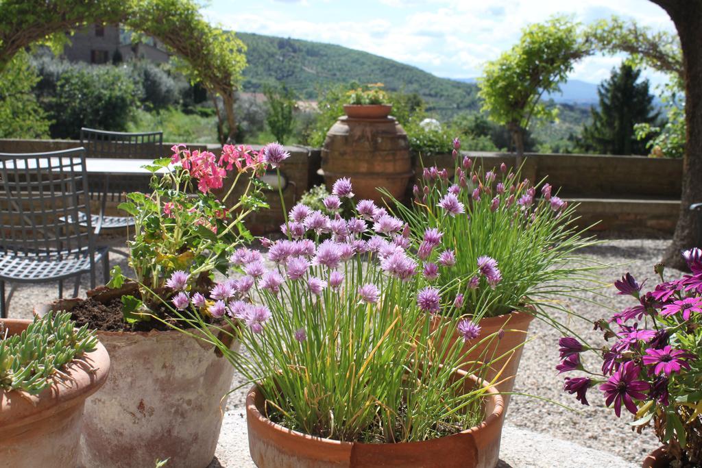 파치아노 Relais Mastro Cinghiale B&B 외부 사진