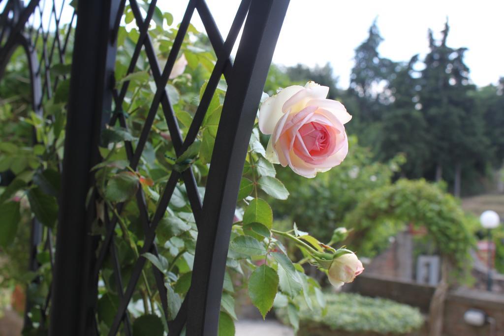 파치아노 Relais Mastro Cinghiale B&B 외부 사진